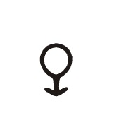 Kunststofffensterdichtung Partena