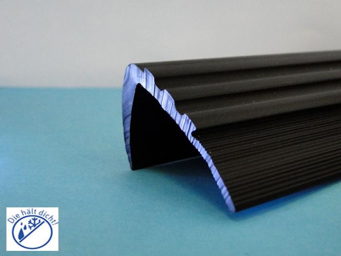 Trittkantenschutz Trittex