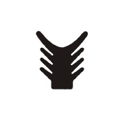 Gummi Fugendichtung Genea