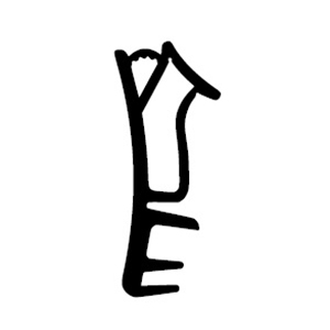 Holz-Fenster/Türen Flügelfalzdichtung Randy