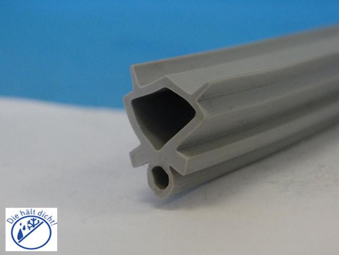 Türbodendichtung Lenza