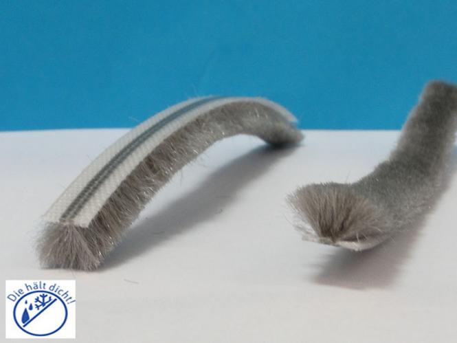 Bürstendichtung Pula nicht-selbstklebend 7x4,8mm