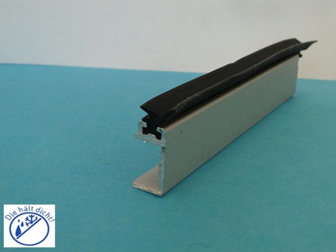 Seitenglaswandlippenschiene Dan für 10mm Glas